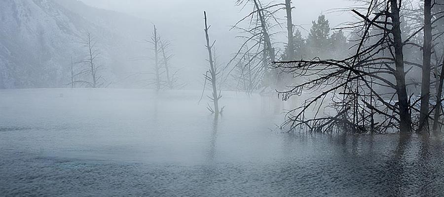 Yellowstone in the Winter